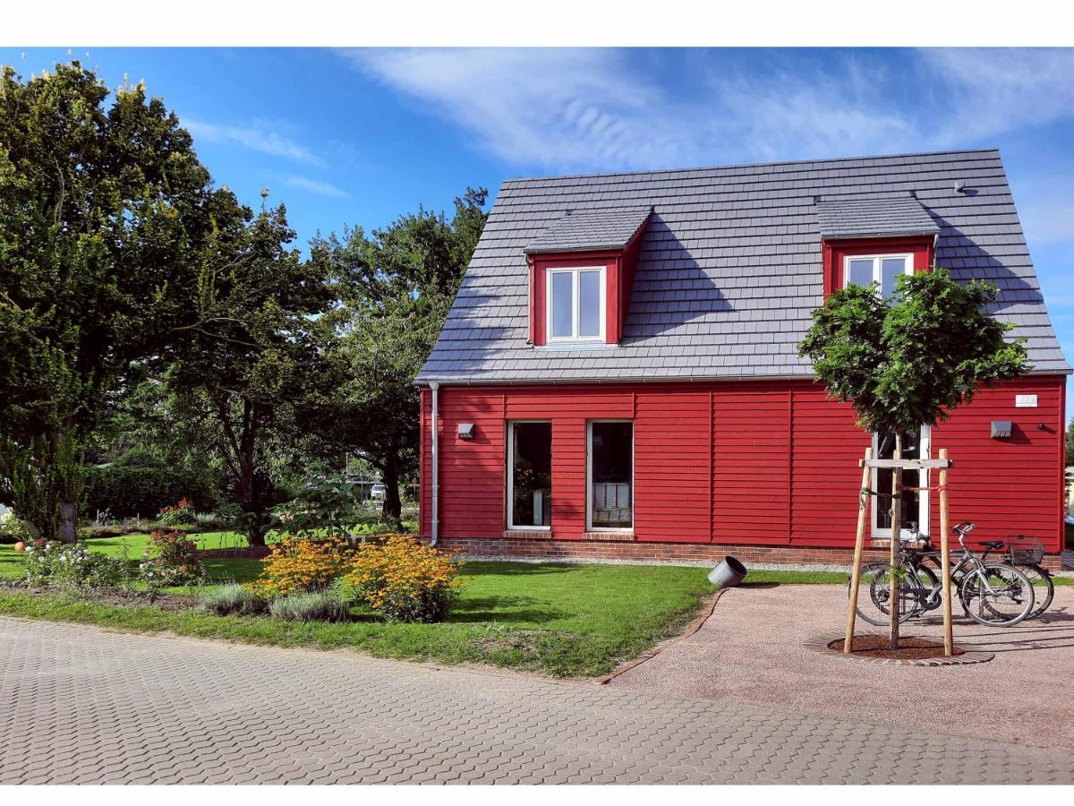 Ferienwohnung Rote Kate บอร์น ภายนอก รูปภาพ