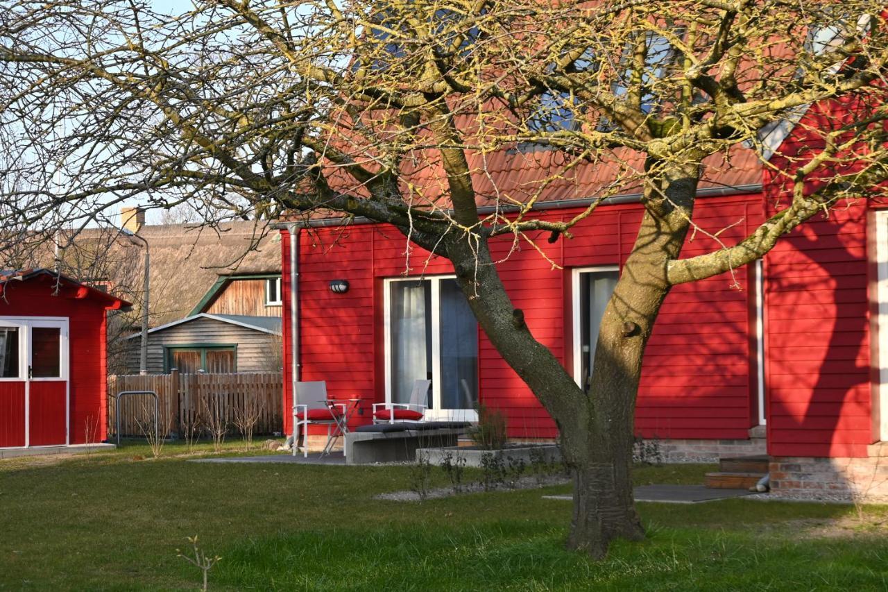 Ferienwohnung Rote Kate บอร์น ภายนอก รูปภาพ